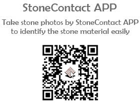 Match Your Image Match Your Image